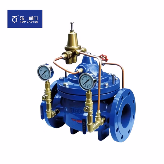 顧客によって設計された非常に高品質の十分にテストされたカスタマイズされた炭化タングステンプレートバルブ、中国工場販売。